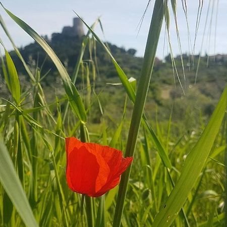 La Casina Di Nonna Giulia Castiglione dʼOrcia Exterior foto