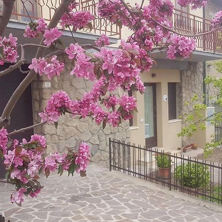 La Casina Di Nonna Giulia Castiglione dʼOrcia Exterior foto