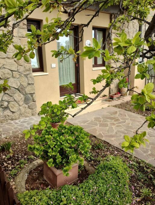 La Casina Di Nonna Giulia Castiglione dʼOrcia Exterior foto
