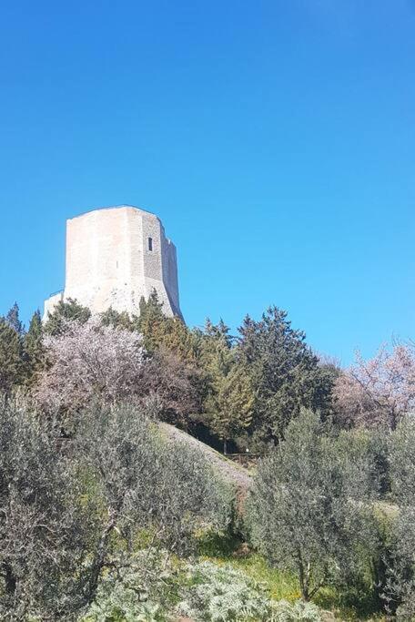 La Casina Di Nonna Giulia Castiglione dʼOrcia Exterior foto