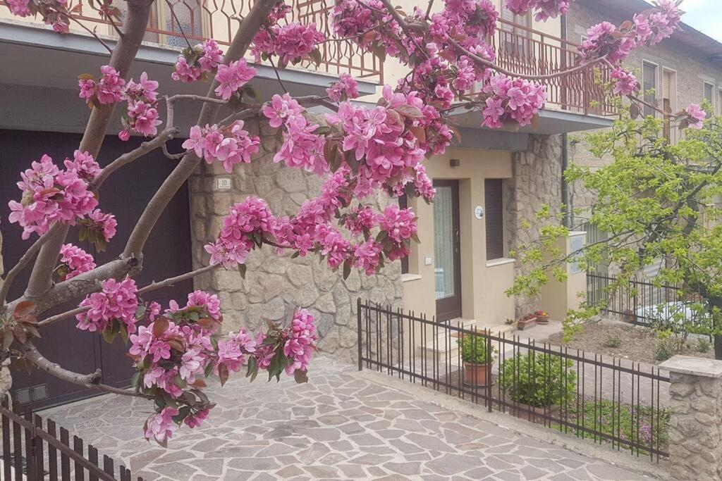 La Casina Di Nonna Giulia Castiglione dʼOrcia Exterior foto